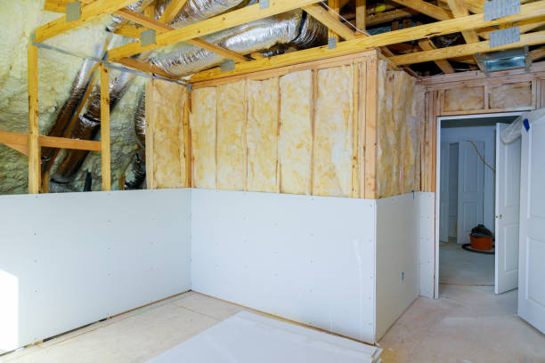 Best Commercial Insulation in Braselton, GA