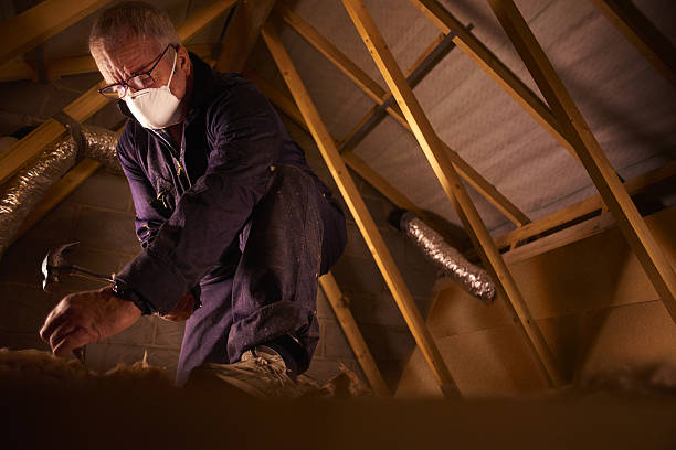 Best Insulation Installation Services in Braselton, GA
